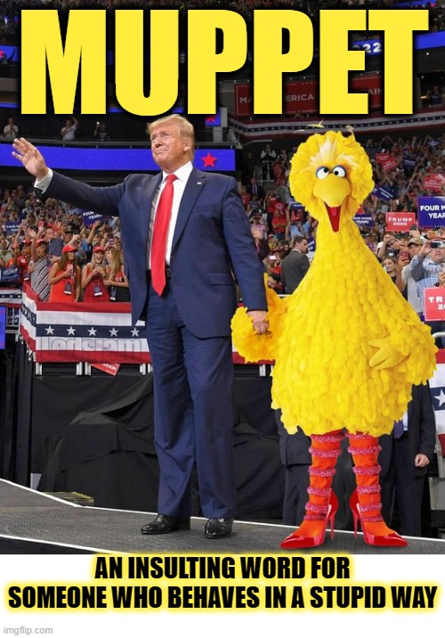 MUPPET | MUPPET; AN INSULTING WORD FOR SOMEONE WHO BEHAVES IN A STUPID WAY | image tagged in muppet,puppet,insulting,stupid,behavior,republican | made w/ Imgflip meme maker