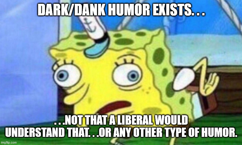 spongebob stupid | DARK/DANK HUMOR EXISTS. . . . . .NOT THAT A LIBERAL WOULD UNDERSTAND THAT. . .OR ANY OTHER TYPE OF HUMOR. | image tagged in spongebob stupid | made w/ Imgflip meme maker