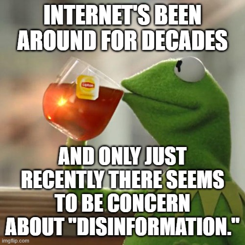 But That's None Of My Business Meme | INTERNET'S BEEN AROUND FOR DECADES; AND ONLY JUST RECENTLY THERE SEEMS TO BE CONCERN ABOUT "DISINFORMATION." | image tagged in memes,but that's none of my business,kermit the frog | made w/ Imgflip meme maker