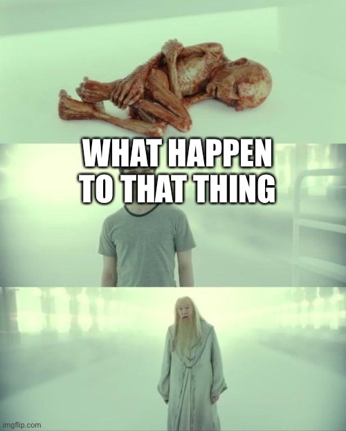 Dead Baby Voldemort / What Happened To Him | WHAT HAPPEN TO THAT THING | image tagged in dead baby voldemort / what happened to him | made w/ Imgflip meme maker