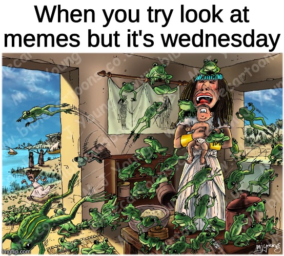 It's wednesday my dudes | When you try look at memes but it's wednesday | image tagged in frog | made w/ Imgflip meme maker