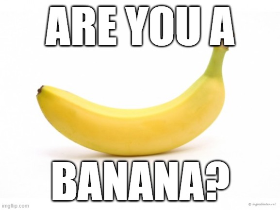 Banana | ARE YOU A; BANANA? | image tagged in banana | made w/ Imgflip meme maker