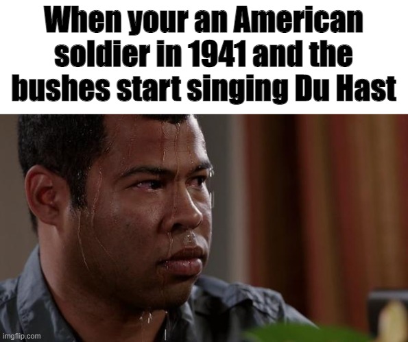 ?DU HAST MICH? | When your an American soldier in 1941 and the bushes start singing Du Hast | image tagged in sweating bullets | made w/ Imgflip meme maker