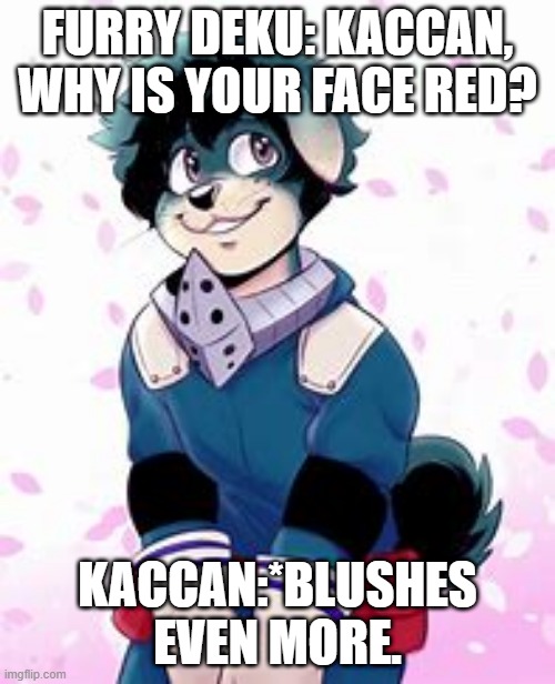 To The Furries Who Watch MHA... Here Ya Go. | FURRY DEKU: KACCAN, WHY IS YOUR FACE RED? KACCAN:*BLUSHES EVEN MORE. | image tagged in furry deku | made w/ Imgflip meme maker