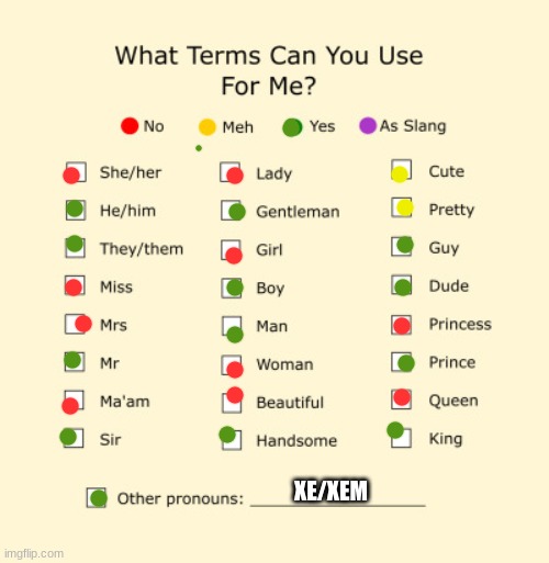 pronouns | XE/XEM | image tagged in pronouns sheet | made w/ Imgflip meme maker