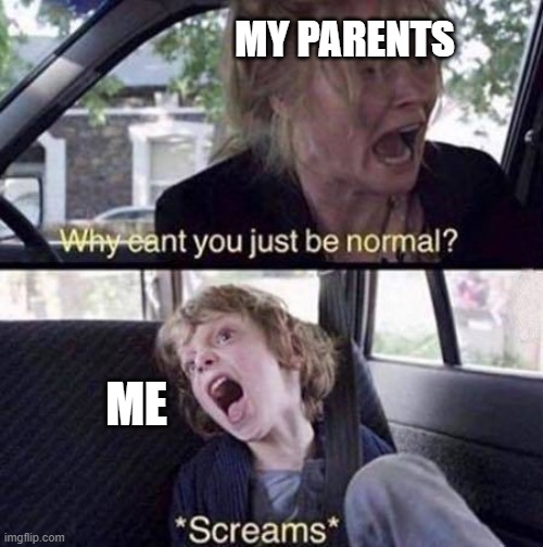 Why Can't You Just Be Normal | MY PARENTS; ME | image tagged in why can't you just be normal | made w/ Imgflip meme maker