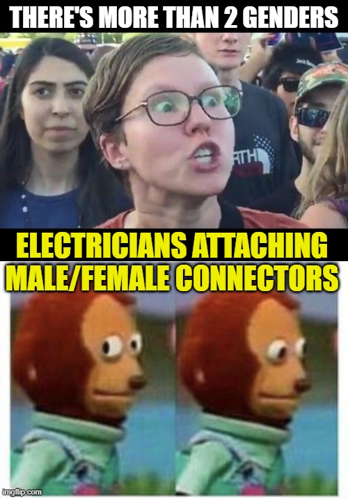 THERE'S MORE THAN 2 GENDERS; ELECTRICIANS ATTACHING MALE/FEMALE CONNECTORS | image tagged in angry sjw,side eye teddy | made w/ Imgflip meme maker
