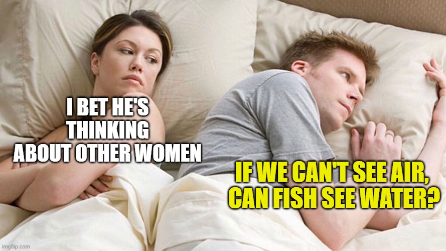 couple in bed | I BET HE'S THINKING ABOUT OTHER WOMEN; IF WE CAN'T SEE AIR, 
CAN FISH SEE WATER? | image tagged in couple in bed | made w/ Imgflip meme maker
