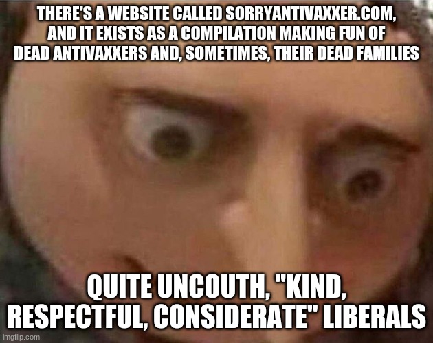 what is wrong with people | THERE'S A WEBSITE CALLED SORRYANTIVAXXER.COM, AND IT EXISTS AS A COMPILATION MAKING FUN OF DEAD ANTIVAXXERS AND, SOMETIMES, THEIR DEAD FAMILIES; QUITE UNCOUTH, "KIND, RESPECTFUL, CONSIDERATE" LIBERALS | image tagged in gru meme | made w/ Imgflip meme maker