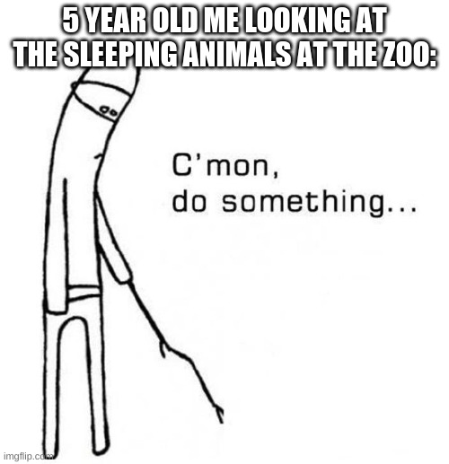cmon do something | 5 YEAR OLD ME LOOKING AT THE SLEEPING ANIMALS AT THE ZOO: | image tagged in cmon do something | made w/ Imgflip meme maker