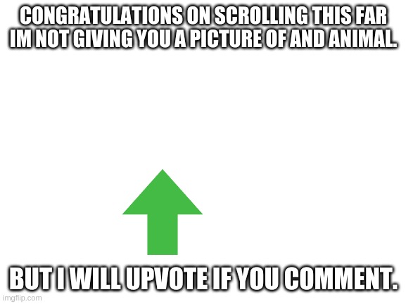 waiting for this to get buried |  CONGRATULATIONS ON SCROLLING THIS FAR
IM NOT GIVING YOU A PICTURE OF AND ANIMAL. BUT I WILL UPVOTE IF YOU COMMENT. | image tagged in blank white template,ill just wait here,tired,tired of your shit,how to recognize a stroke,random bullshit go | made w/ Imgflip meme maker
