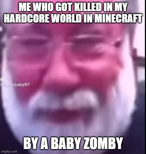 this name is valid | ME WHO GOT KILLED IN MY HARDCORE WORLD IN MINECRAFT; BY A BABY ZOMBY | image tagged in this name is valid | made w/ Imgflip meme maker