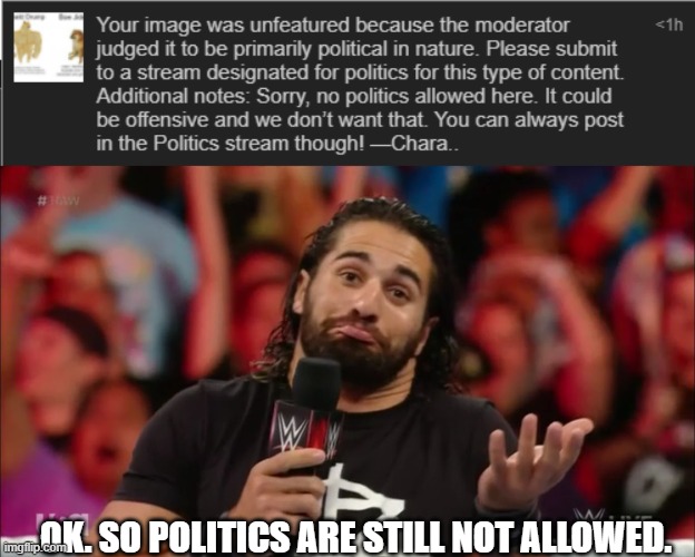 OK. SO POLITICS ARE STILL NOT ALLOWED. | image tagged in seth rollins fact | made w/ Imgflip meme maker
