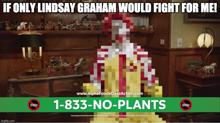 As long as Lindsay Graham is going to war... | IF ONLY LINDSAY GRAHAM WOULD FIGHT FOR ME! | image tagged in ronald mcdonald no-plants | made w/ Imgflip meme maker