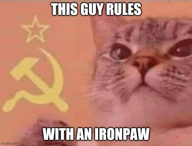 Communist cat |  THIS GUY RULES; WITH AN IRONPAW | image tagged in communist cat | made w/ Imgflip meme maker