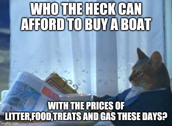 I Should Buy A Boat Cat Meme | WHO THE HECK CAN AFFORD TO BUY A BOAT; WITH THE PRICES OF LITTER,FOOD,TREATS AND GAS THESE DAYS? | image tagged in memes,i should buy a boat cat | made w/ Imgflip meme maker