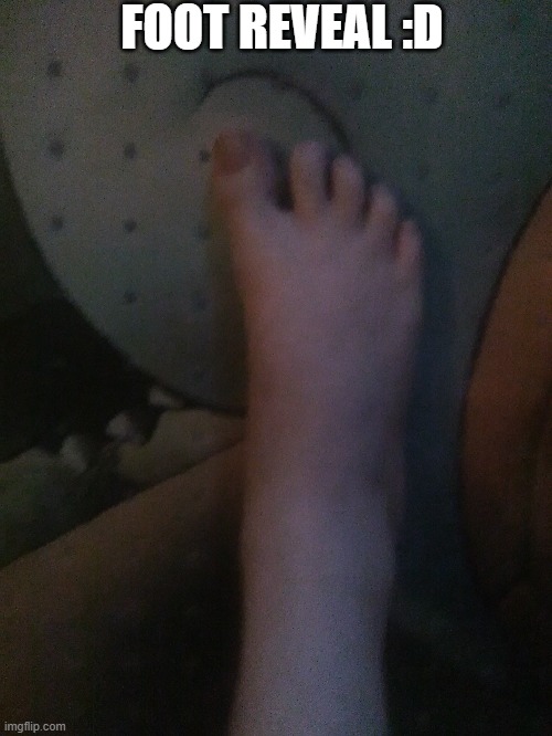 150 follower special i furgot to do a while back | FOOT REVEAL :D | made w/ Imgflip meme maker