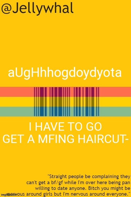 Bye ;-; | aUgHhhogdoydyota; I HAVE TO GO GET A MFING HAIRCUT- | image tagged in pan temp | made w/ Imgflip meme maker