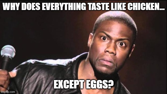 Wait what? | WHY DOES EVERYTHING TASTE LIKE CHICKEN... EXCEPT EGGS? | image tagged in kevin heart idiot,taste like chicken,eggs | made w/ Imgflip meme maker
