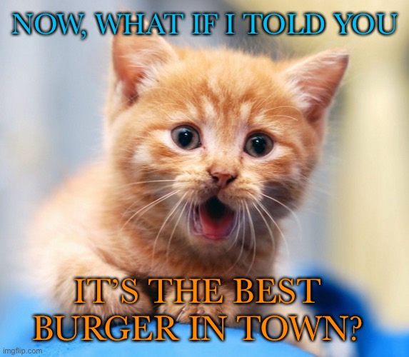 Oh wow! | NOW, WHAT IF I TOLD YOU IT’S THE BEST BURGER IN TOWN? | image tagged in oh wow | made w/ Imgflip meme maker
