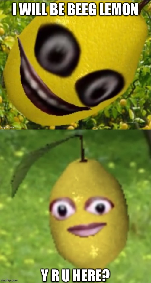 Cursed lemmmmmm | I WILL BE BEEG LEMON; Y R U HERE? | image tagged in jeff the lemon,cursed lemon | made w/ Imgflip meme maker