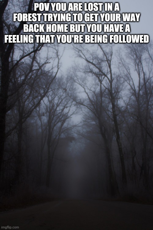 Horror rp | POV YOU ARE LOST IN A FOREST TRYING TO GET YOUR WAY BACK HOME BUT YOU HAVE A FEELING THAT YOU'RE BEING FOLLOWED | made w/ Imgflip meme maker