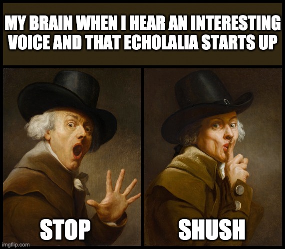 Stop and Shush | MY BRAIN WHEN I HEAR AN INTERESTING VOICE AND THAT ECHOLALIA STARTS UP; STOP                    SHUSH | image tagged in joseph ducreux shush | made w/ Imgflip meme maker