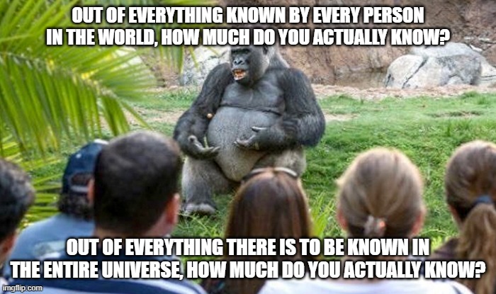 Do You Know How Little You Know? | OUT OF EVERYTHING KNOWN BY EVERY PERSON IN THE WORLD, HOW MUCH DO YOU ACTUALLY KNOW? OUT OF EVERYTHING THERE IS TO BE KNOWN IN THE ENTIRE UNIVERSE, HOW MUCH DO YOU ACTUALLY KNOW? | image tagged in philosophical gorrilla,epistemology,knowledge,ignorance,thinking,universal knowledge | made w/ Imgflip meme maker