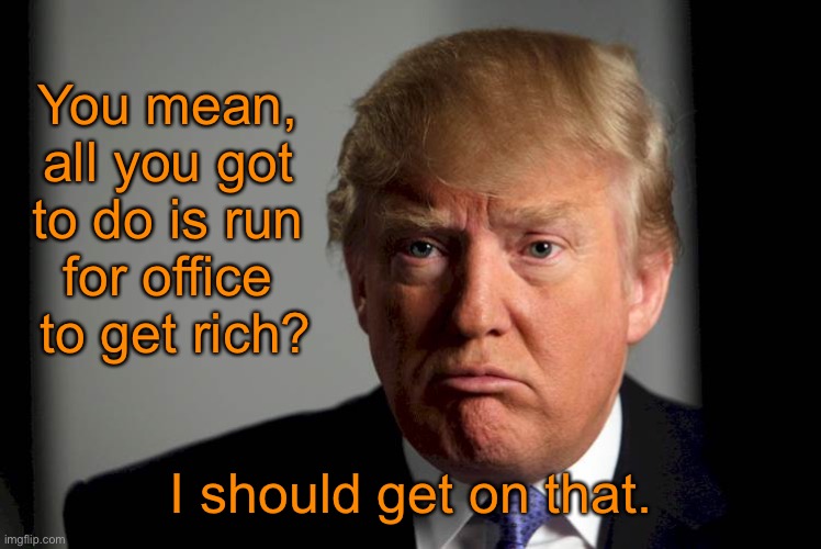 Trump Confused | You mean, 
all you got 
to do is run 
for office 
to get rich? I should get on that. | image tagged in trump confused | made w/ Imgflip meme maker