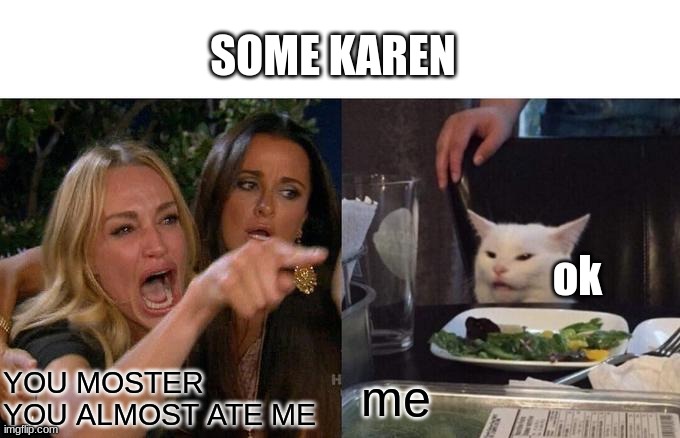 Woman Yelling At Cat Meme | SOME KAREN; ok; me; YOU MOSTER YOU ALMOST ATE ME | image tagged in memes,woman yelling at cat | made w/ Imgflip meme maker