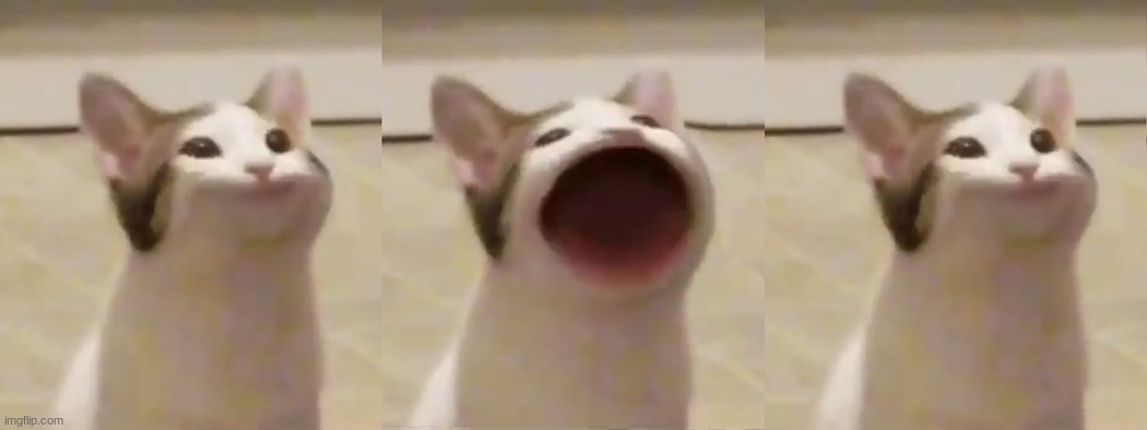 :3 :O :3 | made w/ Imgflip meme maker