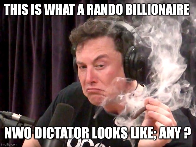 Muskrat, meerkat, fat cat Elon Musk | THIS IS WHAT A RANDO BILLIONAIRE; NWO DICTATOR LOOKS LIKE; ANY ? | image tagged in elon musk weed | made w/ Imgflip meme maker