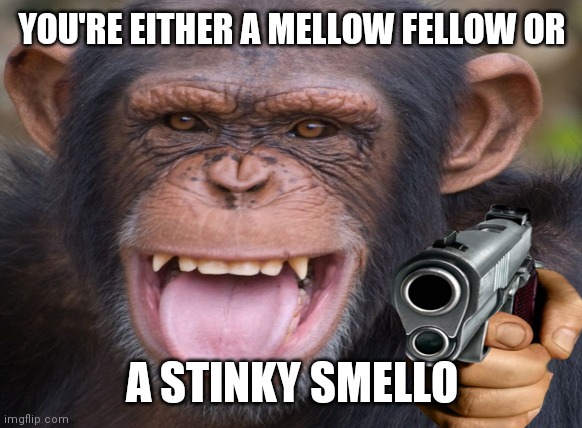 monke |  YOU'RE EITHER A MELLOW FELLOW OR; A STINKY SMELLO | image tagged in monke | made w/ Imgflip meme maker