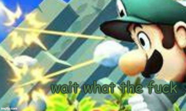 wait what the f**k | image tagged in wait what the f k | made w/ Imgflip meme maker