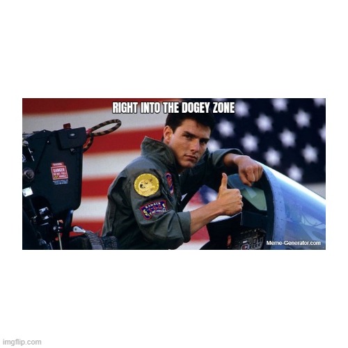 TOP DOGE | image tagged in doge,top gun,tom cruise,crypto,fighter jet,thumbs up | made w/ Imgflip meme maker