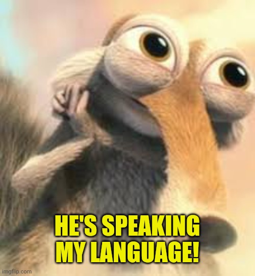 Ice age squirrel in love | HE'S SPEAKING MY LANGUAGE! | image tagged in ice age squirrel in love | made w/ Imgflip meme maker