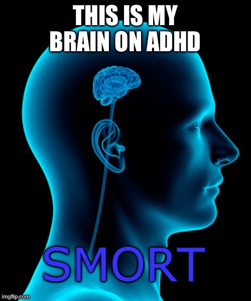 smort | THIS IS MY BRAIN ON ADHD | image tagged in smort | made w/ Imgflip meme maker