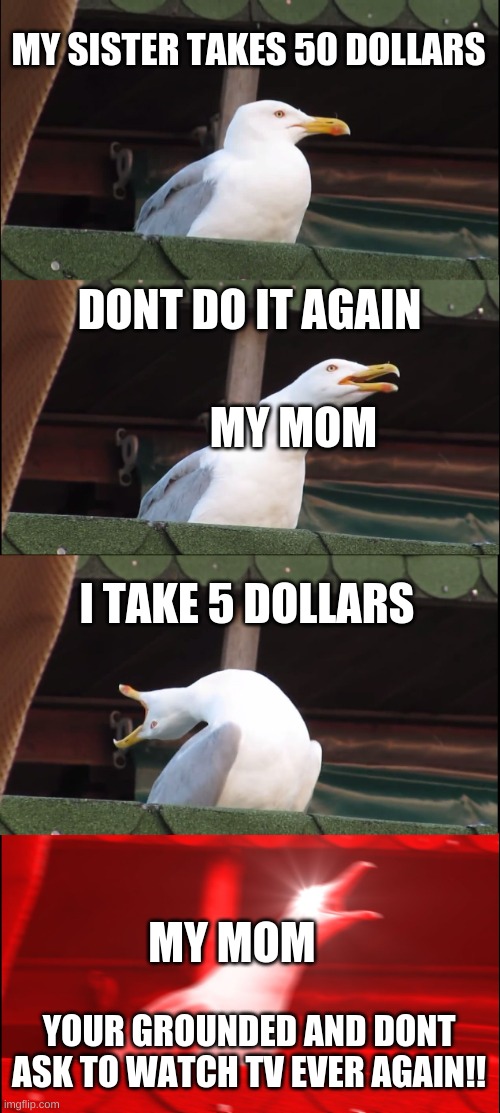 its so unfair | MY SISTER TAKES 50 DOLLARS; DONT DO IT AGAIN; MY MOM; I TAKE 5 DOLLARS; MY MOM; YOUR GROUNDED AND DONT ASK TO WATCH TV EVER AGAIN!! | image tagged in memes,inhaling seagull | made w/ Imgflip meme maker