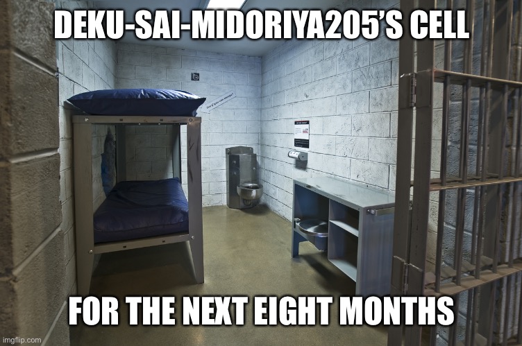 Offenses in the comments |  DEKU-SAI-MIDORIYA205’S CELL; FOR THE NEXT EIGHT MONTHS | image tagged in jail cell | made w/ Imgflip meme maker