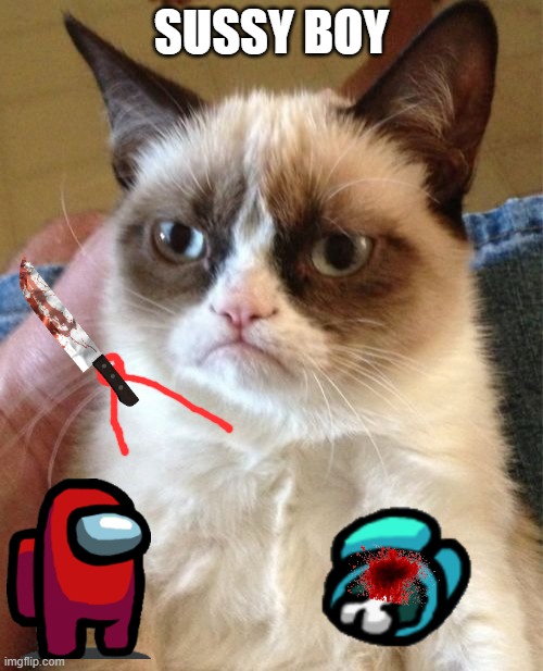 Grumpy Cat Meme | SUSSY BOY | image tagged in memes,grumpy cat | made w/ Imgflip meme maker