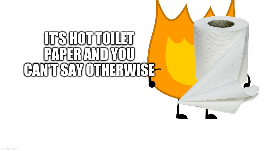 IT'S HOT TOILET PAPER AND YOU CAN'T SAY OTHERWISE | made w/ Imgflip meme maker