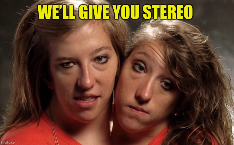 Siamese twins | WE’LL GIVE YOU STEREO | image tagged in siamese twins | made w/ Imgflip meme maker