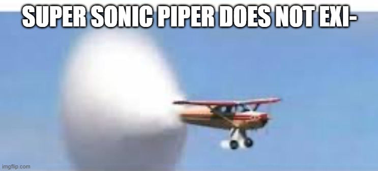 why | SUPER SONIC PIPER DOES NOT EXI- | image tagged in aviation | made w/ Imgflip meme maker