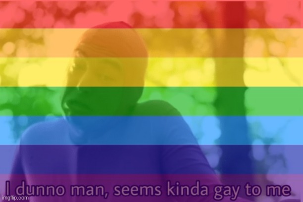 image tagged in i dunno man seems kinda gay to me | made w/ Imgflip meme maker