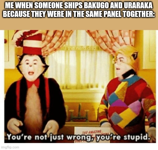 You're not just wrong your stupid | ME WHEN SOMEONE SHIPS BAKUGO AND URARAKA BECAUSE THEY WERE IN THE SAME PANEL TOGETHER: | image tagged in you're not just wrong your stupid | made w/ Imgflip meme maker