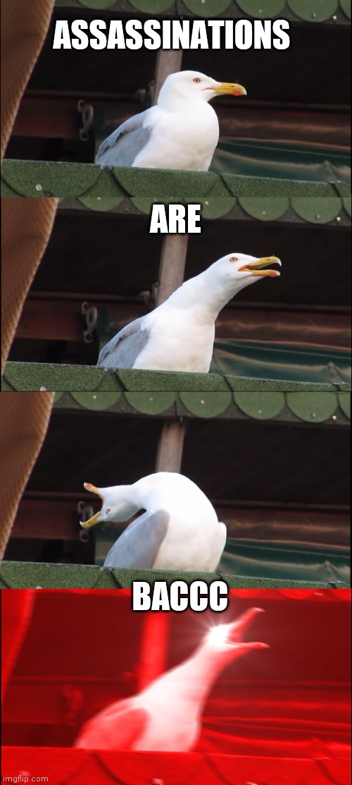 YAASSSSSS | ASSASSINATIONS; ARE; BACCC | image tagged in memes,inhaling seagull | made w/ Imgflip meme maker