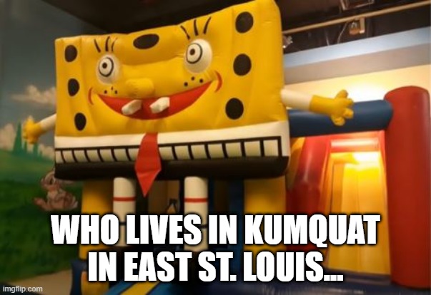MethRob RectangleShorts | WHO LIVES IN KUMQUAT IN EAST ST. LOUIS... | image tagged in you had one job | made w/ Imgflip meme maker