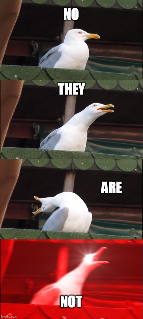 Inhaling Seagull Meme | NO THEY ARE NOT | image tagged in memes,inhaling seagull | made w/ Imgflip meme maker