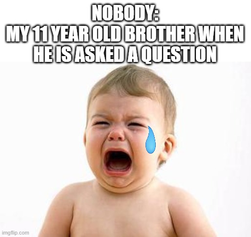 this happens every time they ask  ANYTHING | NOBODY:
MY 11 YEAR OLD BROTHER WHEN HE IS ASKED A QUESTION | image tagged in big brother,baby,crying | made w/ Imgflip meme maker