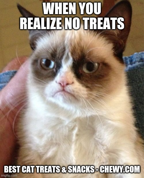 Grumpy Cat | WHEN YOU REALIZE NO TREATS; BEST CAT TREATS & SNACKS - CHEWY.COM | image tagged in memes,grumpy cat | made w/ Imgflip meme maker